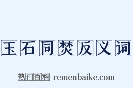 玉石同焚反义词是什么意思的图片